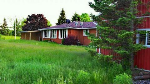 Bungalone - SAM_6339li.jpg