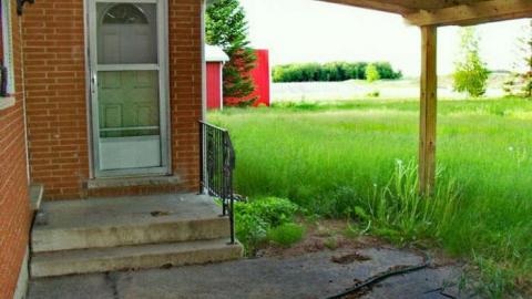 Bungalone - SAM_6350li.jpg