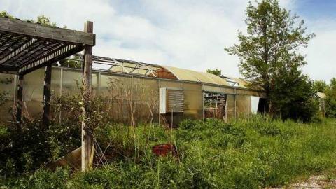 Overgrown & Broken Glass - European-Wicker-Imports48.jpg