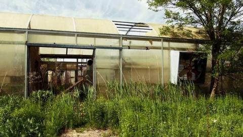 Overgrown & Broken Glass - European-Wicker-Imports37.jpg