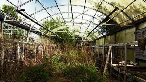 Overgrown & Broken Glass - European-Wicker-Imports38.jpg