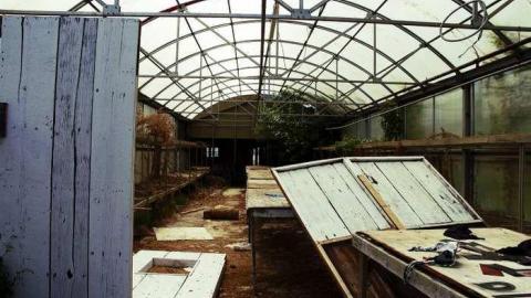 Overgrown & Broken Glass - European-Wicker-Imports50.jpg