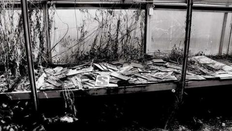 Overgrown & Broken Glass - European-Wicker-Imports39.jpg