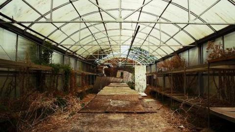 Overgrown & Broken Glass - European-Wicker-Imports51.jpg