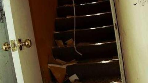 Overgrown & Broken Glass - European-Wicker-Imports41.jpg