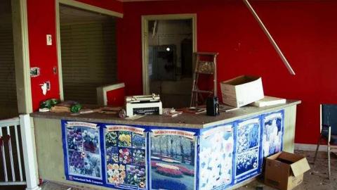 Overgrown & Broken Glass - European-Wicker-Imports54.jpg