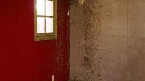 Overgrown & Broken Glass - European-Wicker-Imports43.jpg