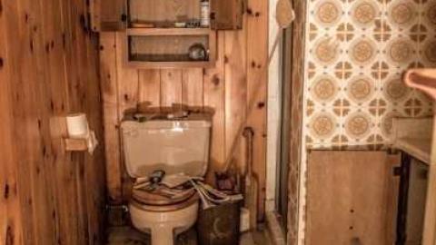 Photo from Planting Seeds of Destruction