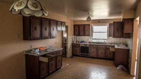 Planting Seeds of Destruction - Reesor-Rd-Greenhouse24.jpg