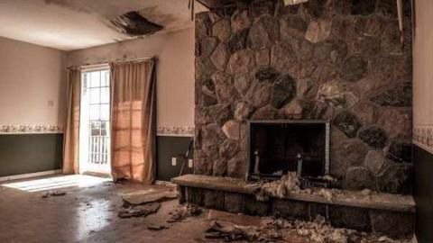 Planting Seeds of Destruction - Reesor-Rd-Greenhouse26.jpg