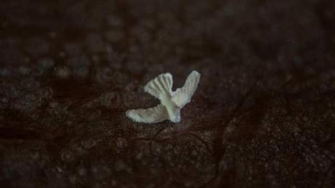 Planting Seeds of Destruction - Reesor-Rd-Greenhouse32.jpg