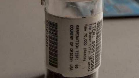 Planting Seeds of Destruction - Reesor-Rd-Greenhouse47.jpg