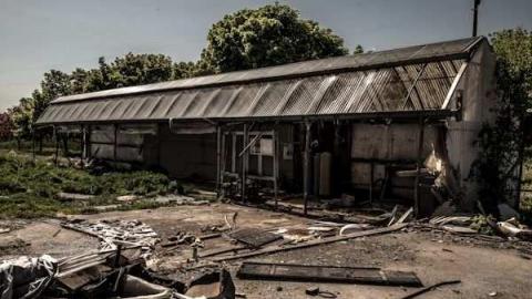 Planting Seeds of Destruction - Reesor-Rd-Greenhouse37.jpg