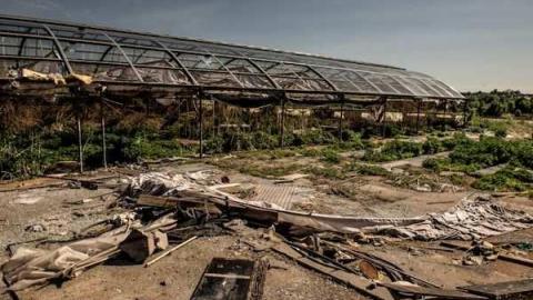 Planting Seeds of Destruction - Reesor-Rd-Greenhouse50.jpg