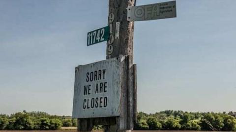 Planting Seeds of Destruction - Reesor-Rd-Greenhouse39.jpg