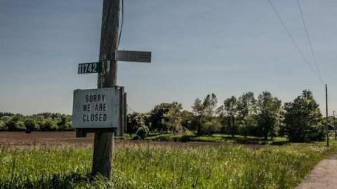 Planting Seeds of Destruction - Reesor-Rd-Greenhouse52.jpg