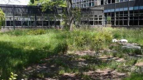 Early June 2014 - Alderwood-Collegiate-Institute121.jpg