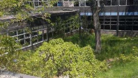 Early June 2014 - Alderwood-Collegiate-Institute113.jpg