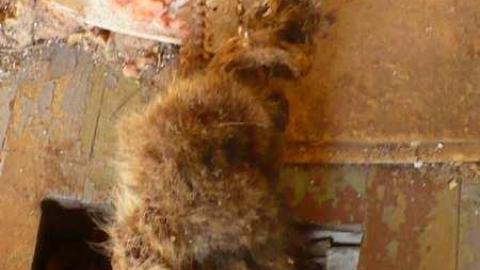 Photo from June 2014