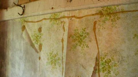 June 2014 - Old-Farm-in-New-Tecumseth12.jpg