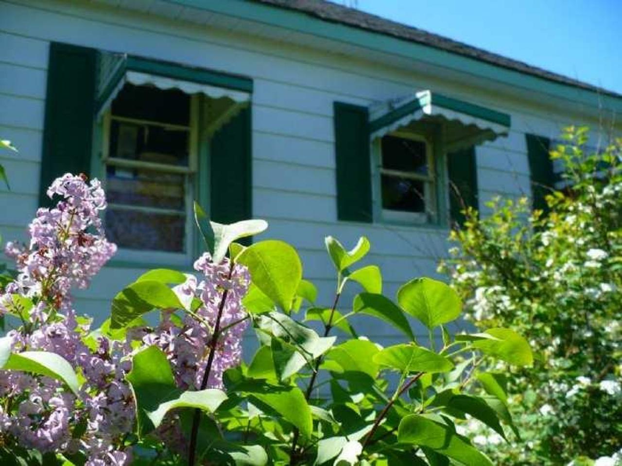 June 2014 - P1150326.jpg