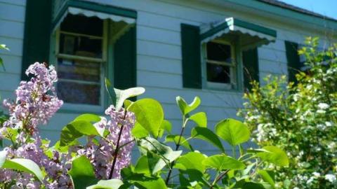 June 2014 - P1150326.jpg