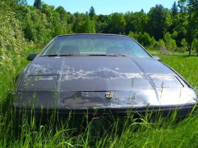 June 2014 - P1150314.jpg