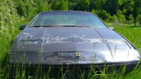 June 2014 - P1150314.jpg