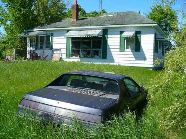 June 2014 - P1150316.jpg