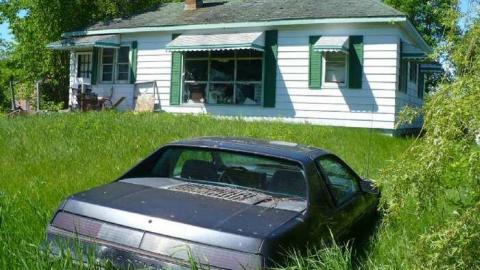 June 2014 - P1150316.jpg