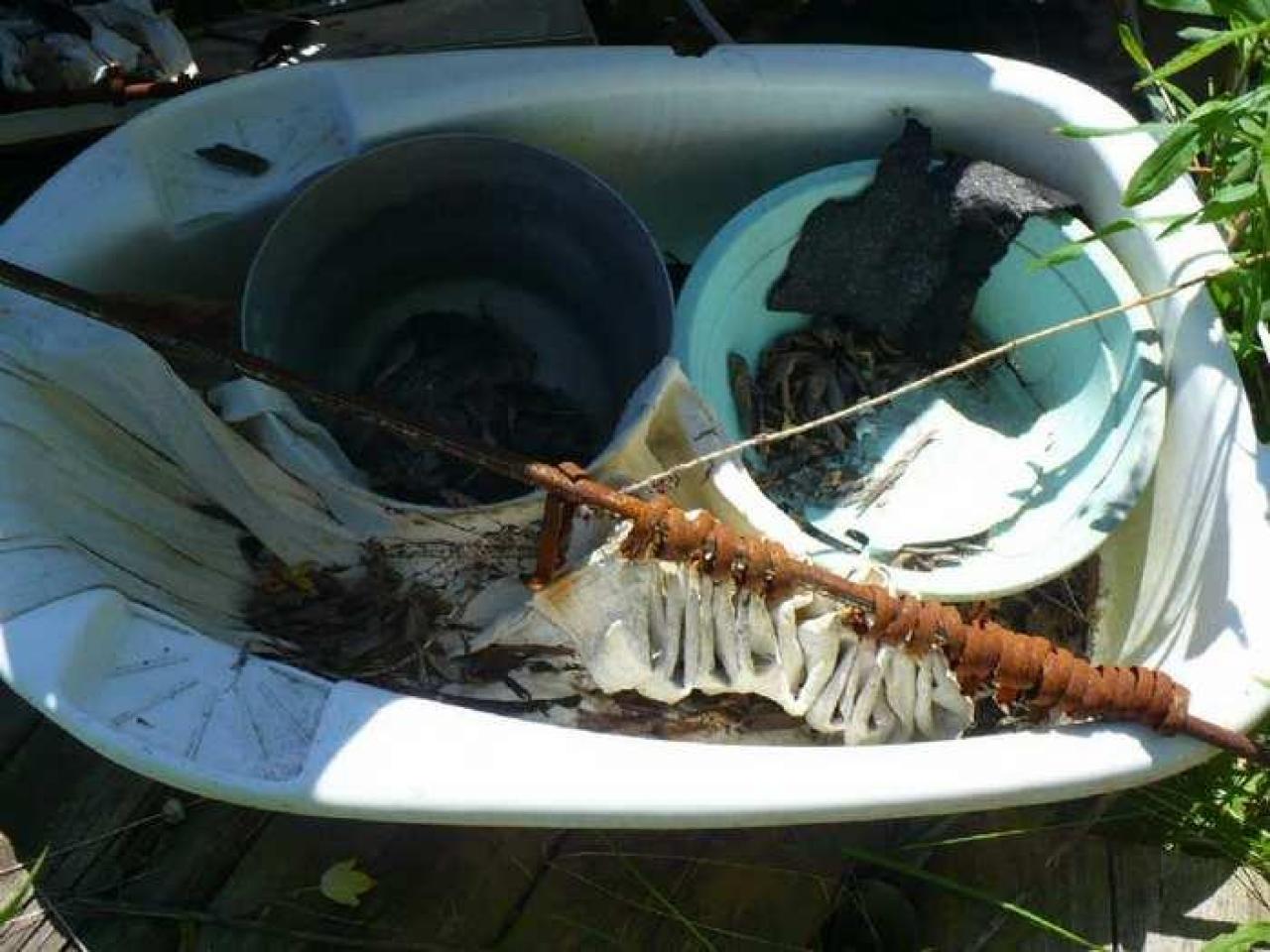 June 2014 - P1150323.jpg