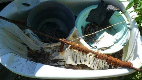 June 2014 - P1150323.jpg