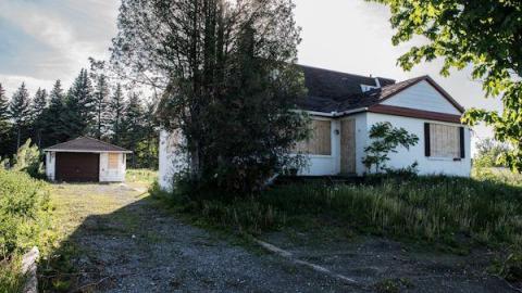 Movie Night - Squatter-Cinema12.jpg