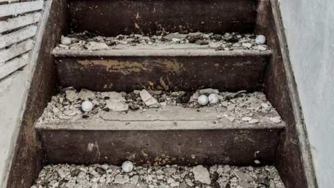 Lotsa Balls to get Inside - Reuben-Heise-House8.jpg