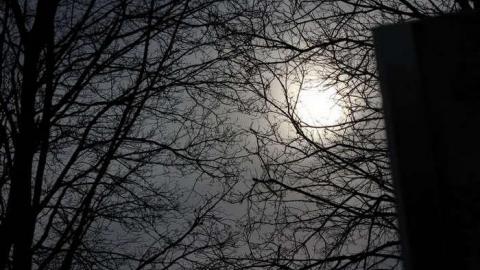 A Sideroad in Life - Ratzburg-Pioneer-Cemetery17.jpg