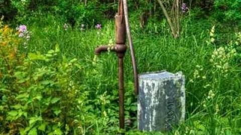 Photo from Gate Closed