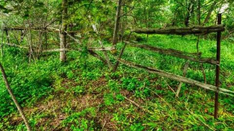 Gate Closed - 850-N-Big-Island-Rd27.jpg