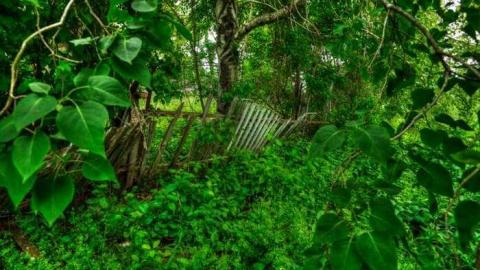 Gate Closed - 850-N-Big-Island-Rd29.jpg