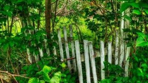 Gate Closed - 850-N-Big-Island-Rd30.jpg