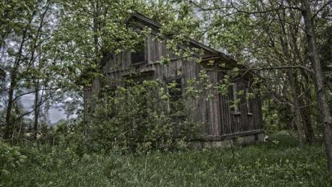 June 2014 - DSC_0460.jpg