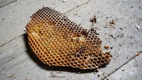 June 2014 - DSC_0470.jpg