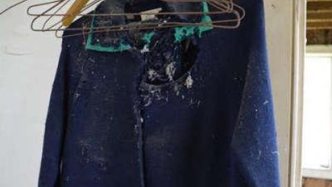 June 2014 - DSC_0471.jpg