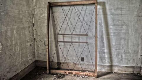 Grey In The Green - Dawn-Euphemia, Ontario