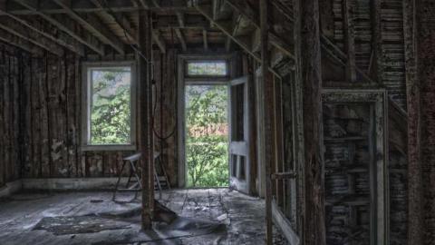 Grey In The Green photo 2