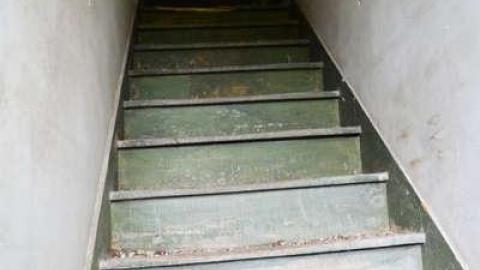 June 2014 - DSC_0488.jpg