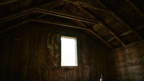 June 2014 - DSC_0489.jpg