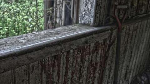 June 2014 - DSC_0495.jpg