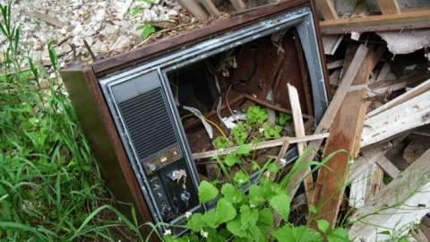 June 2014 - DSC_0498.jpg