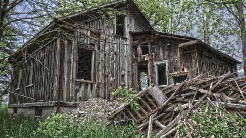 Grey In The Green photo 4