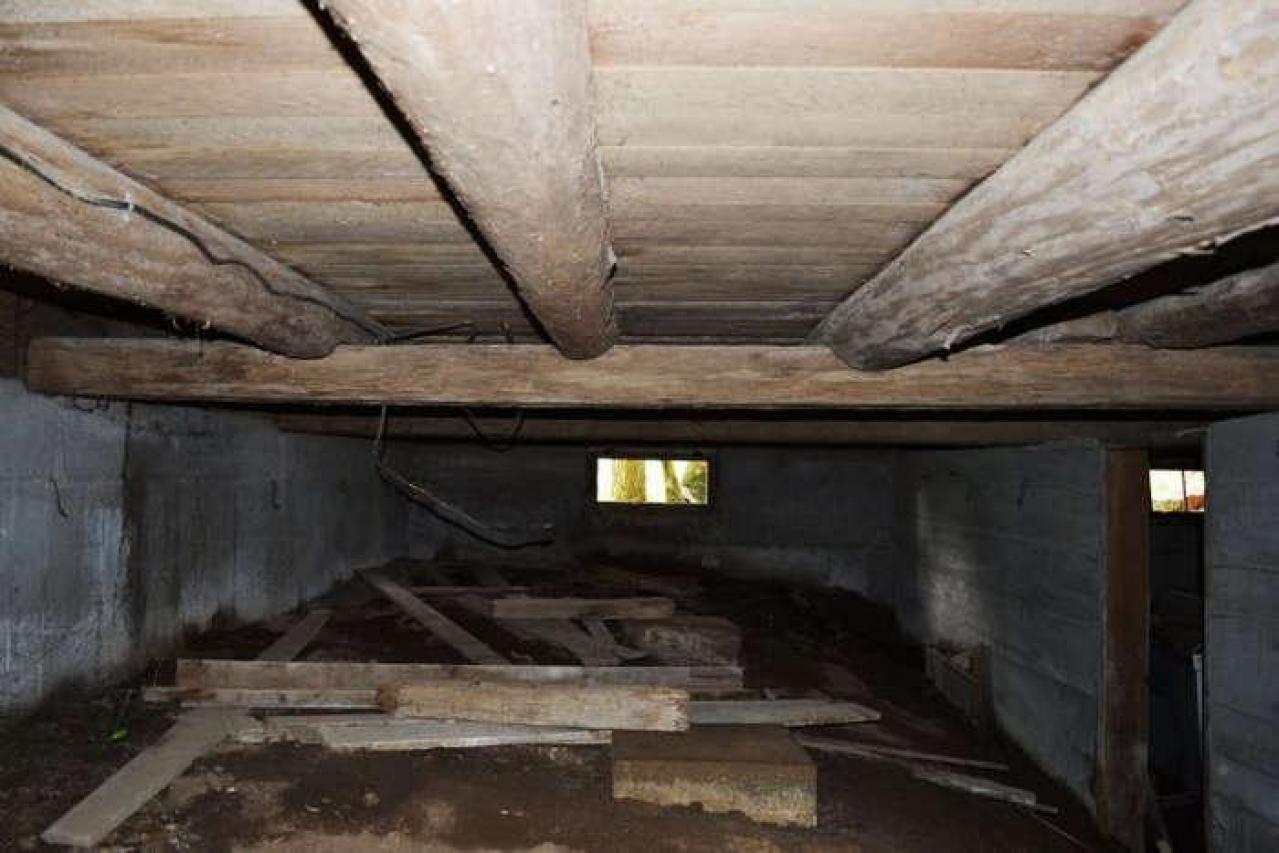 June 2014 - DSC_0503.jpg